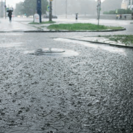 雨水